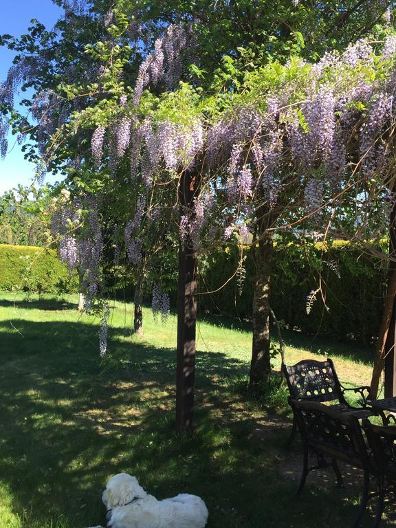 Alojamiento En Entorno Rural Los Trobos Villar de Otero Kültér fotó
