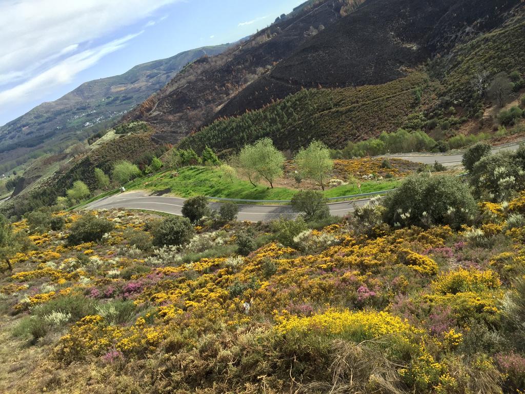 Alojamiento En Entorno Rural Los Trobos Villar de Otero Kültér fotó